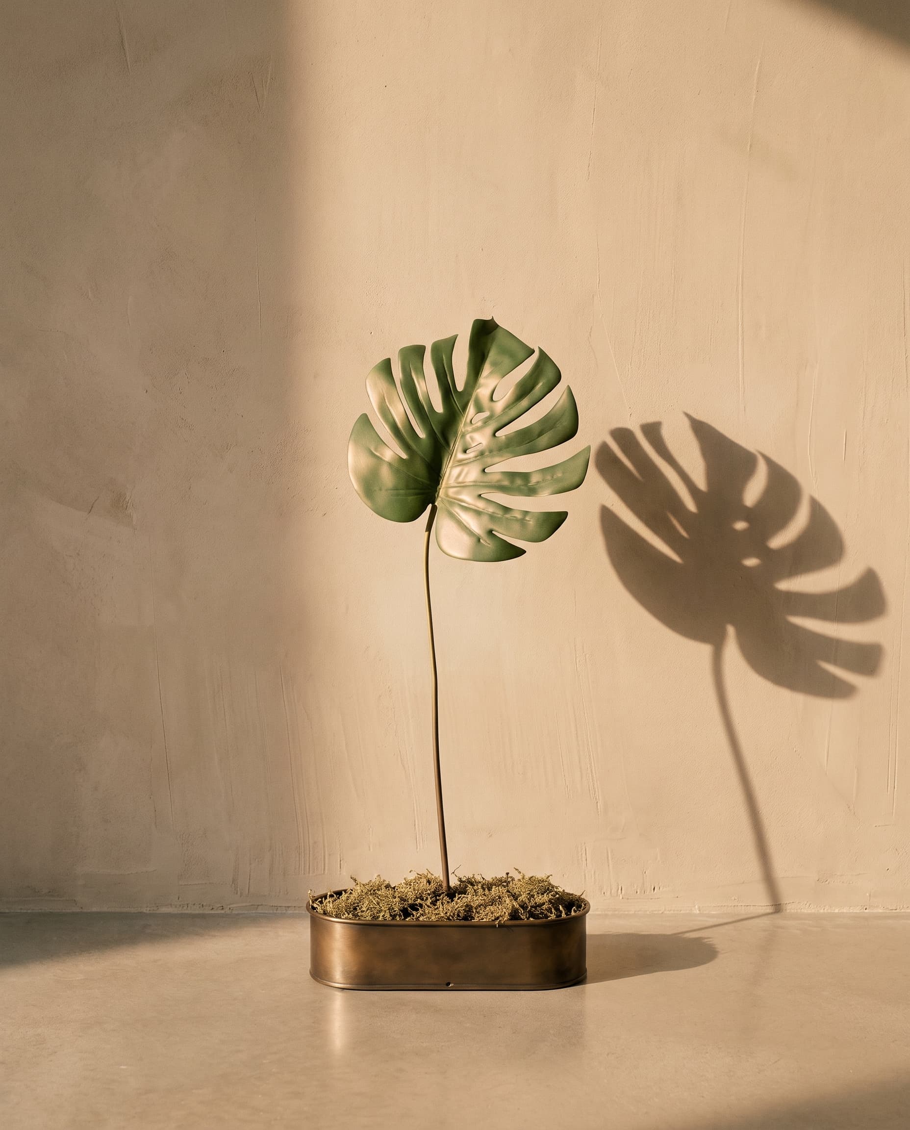 The Monstera Leaf 3D medium