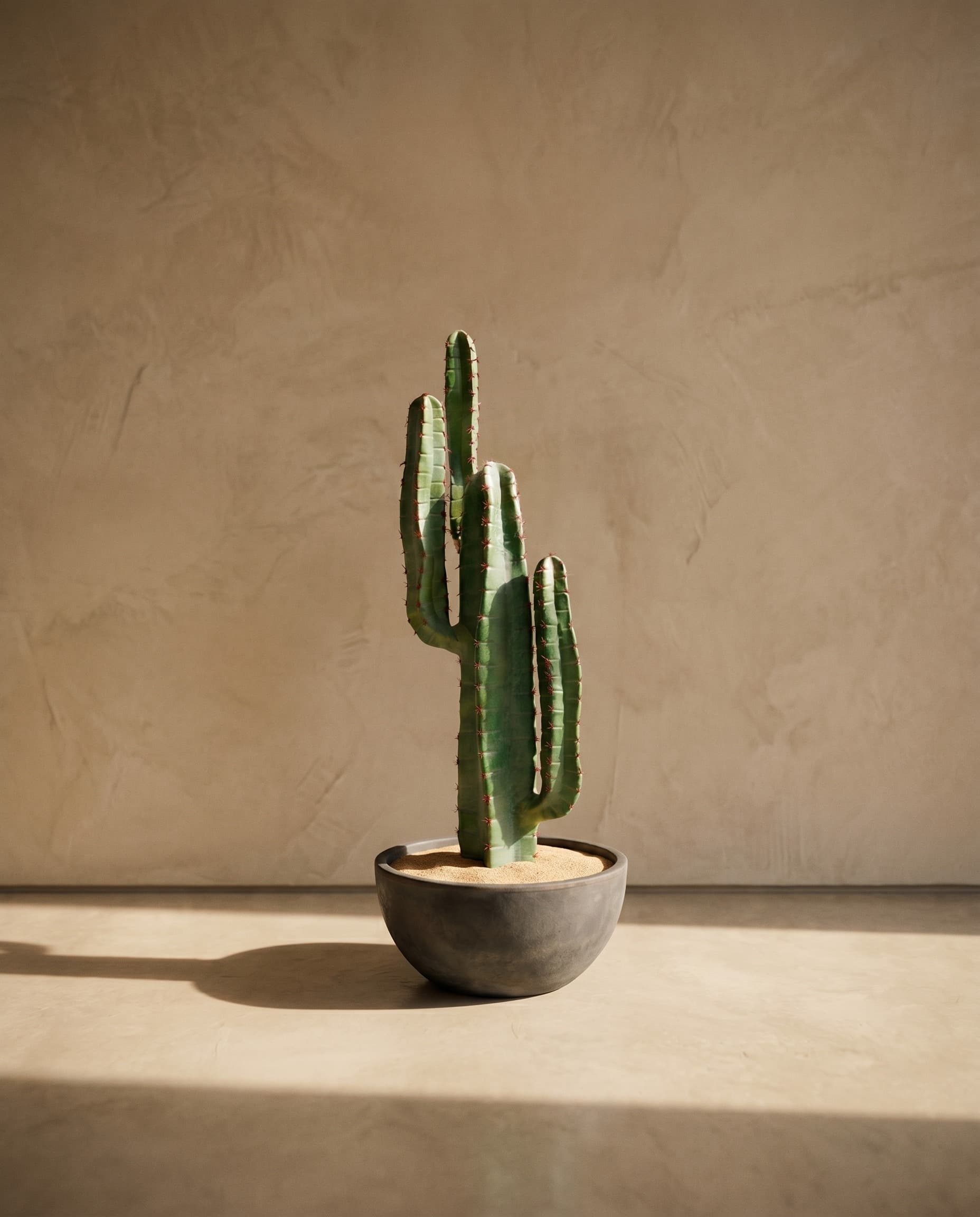 The Cereus Column · 78cm