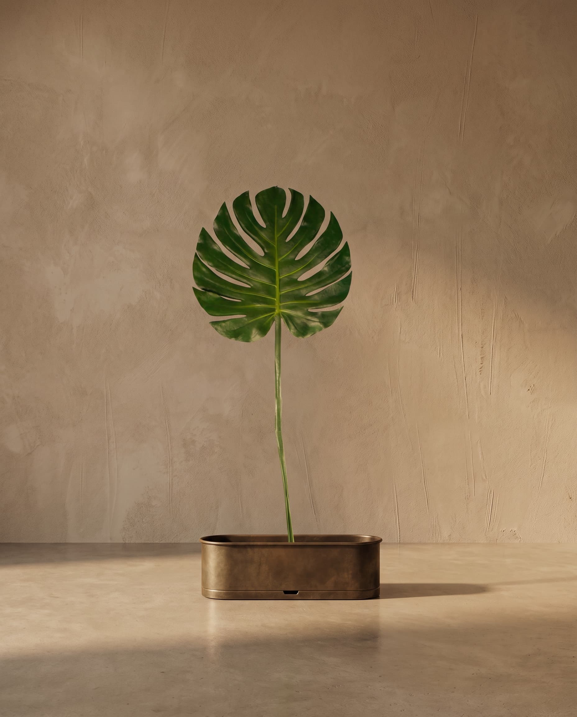 The Monstera Leaf SPU big