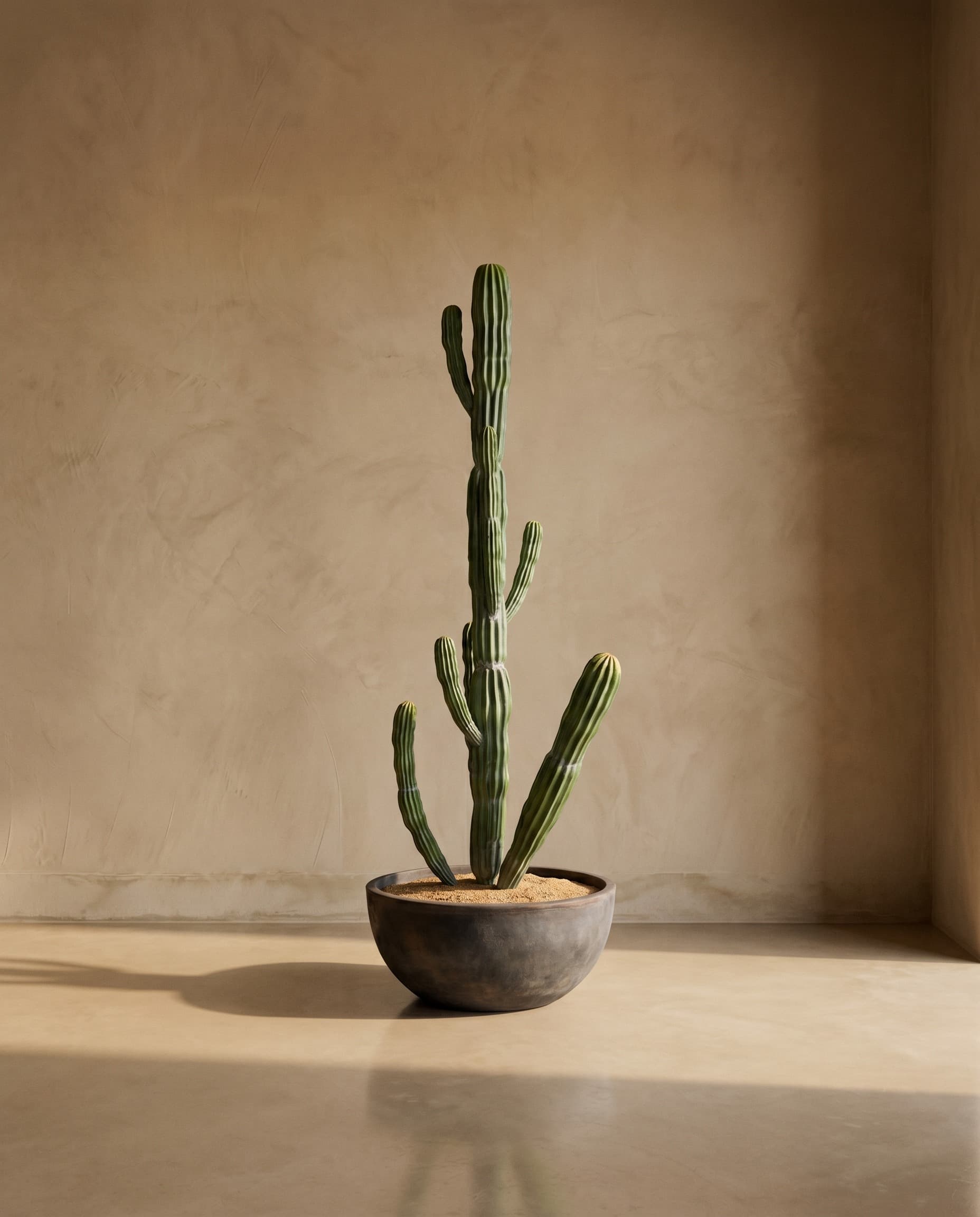 The Desert Giant · 2.6m