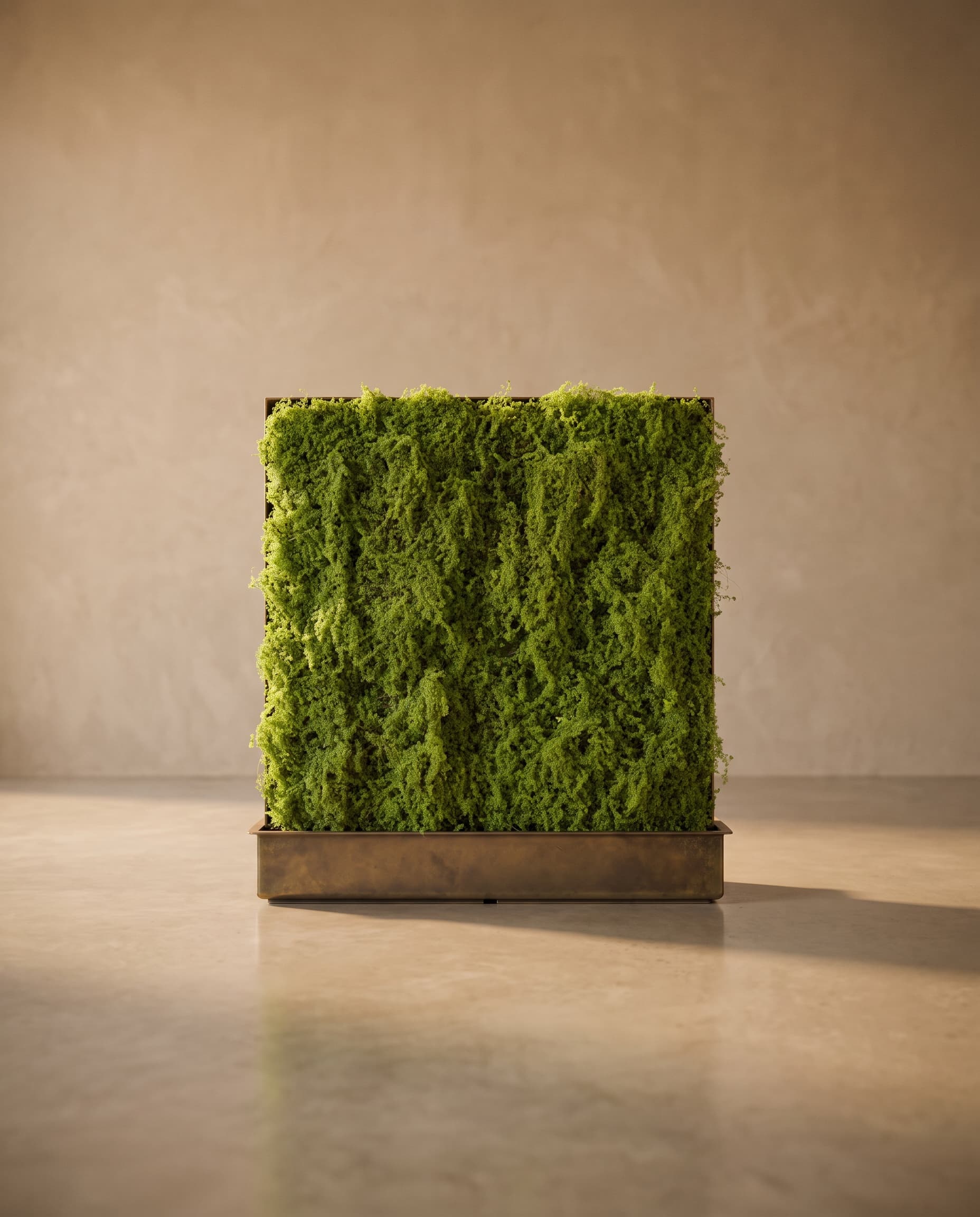 The Moss mat 1*1м
