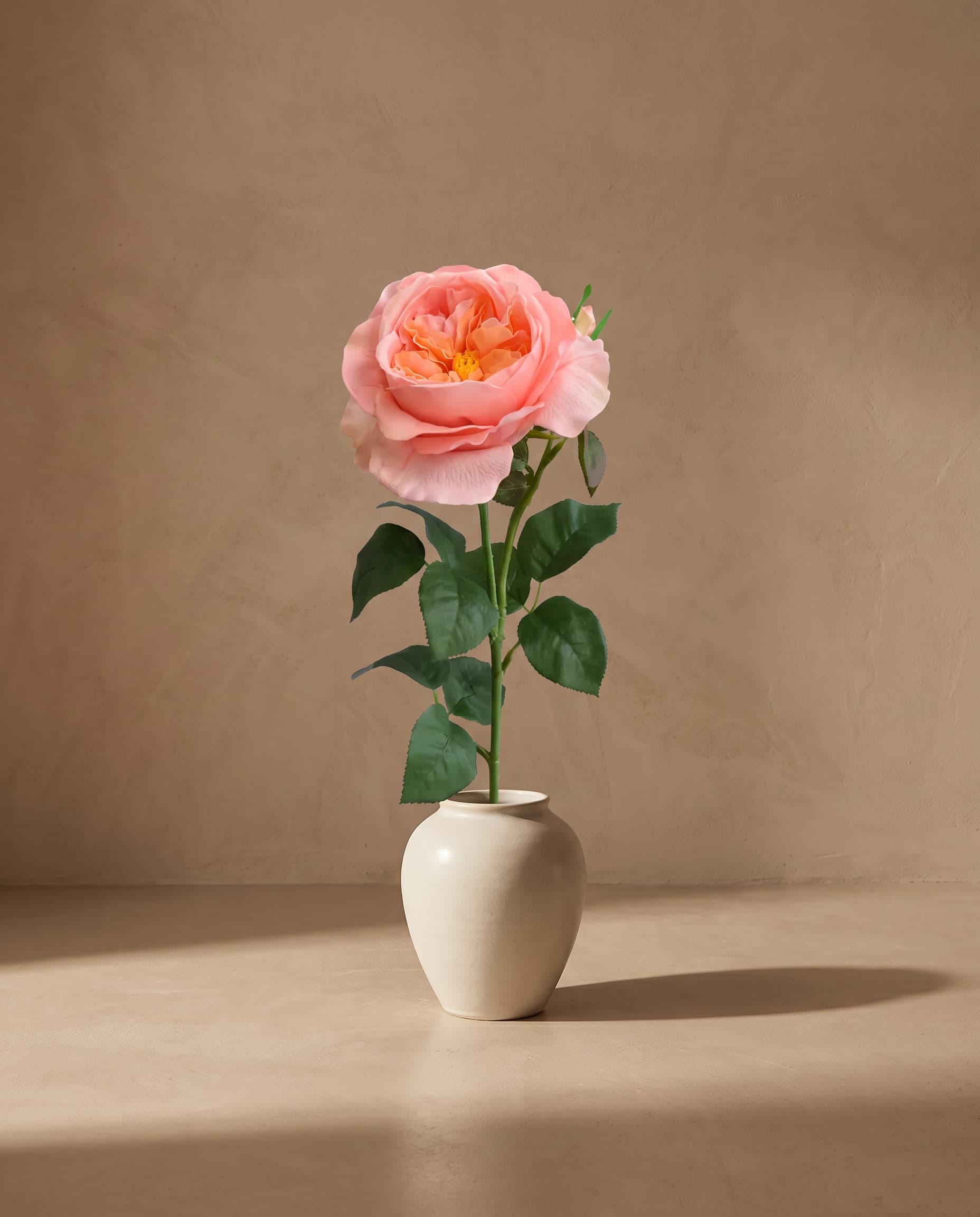The Rose David Austin The Pilgrim large