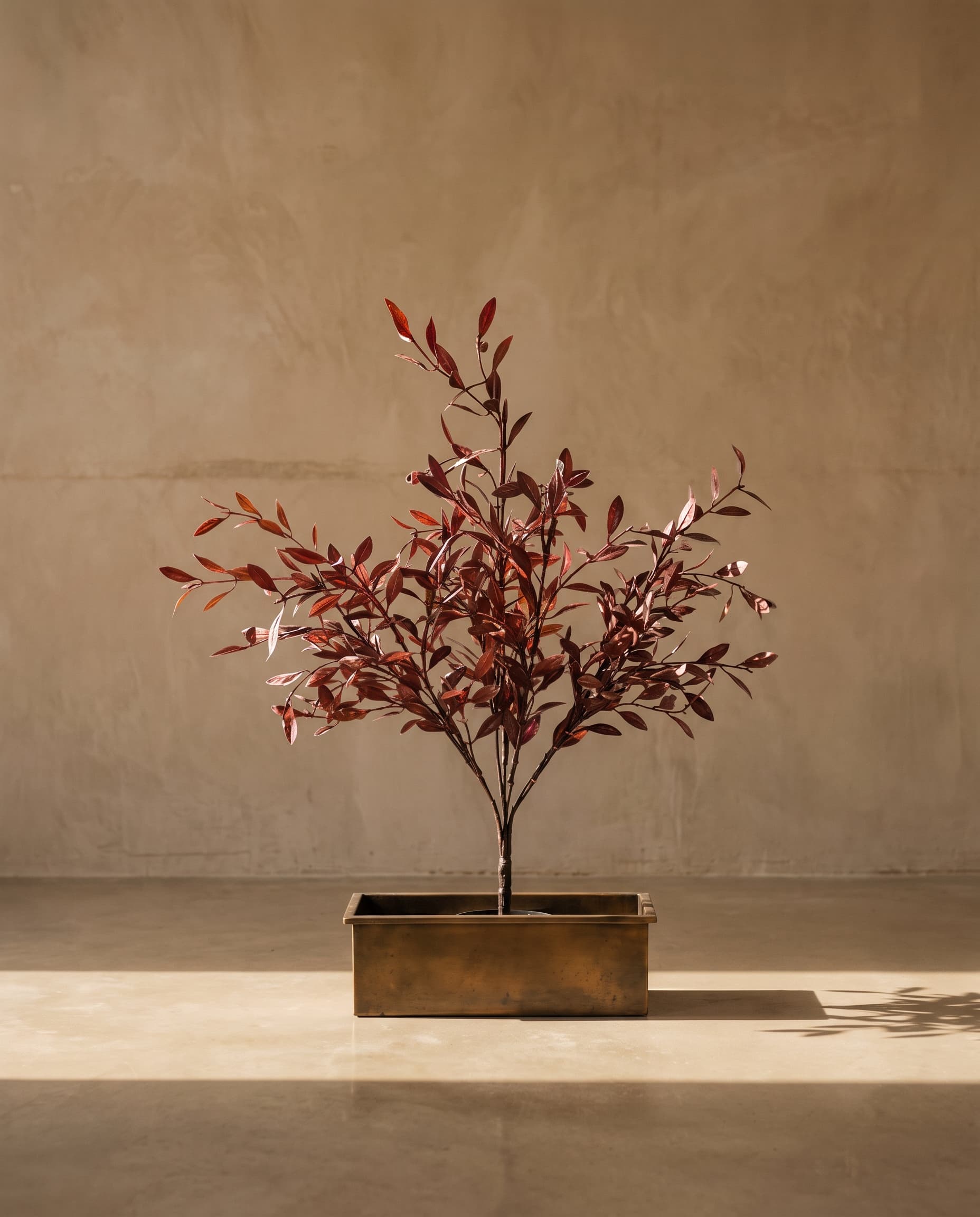 The Bunch of barberry
