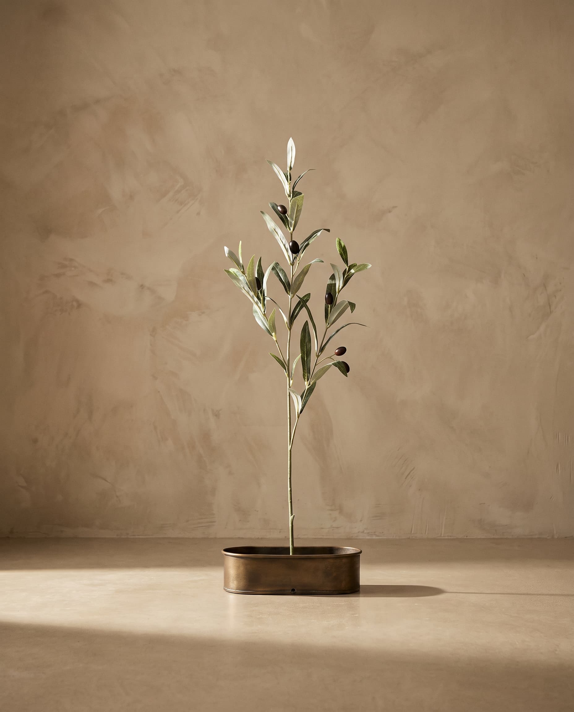 The Olive branch with fruits medium · 76cm