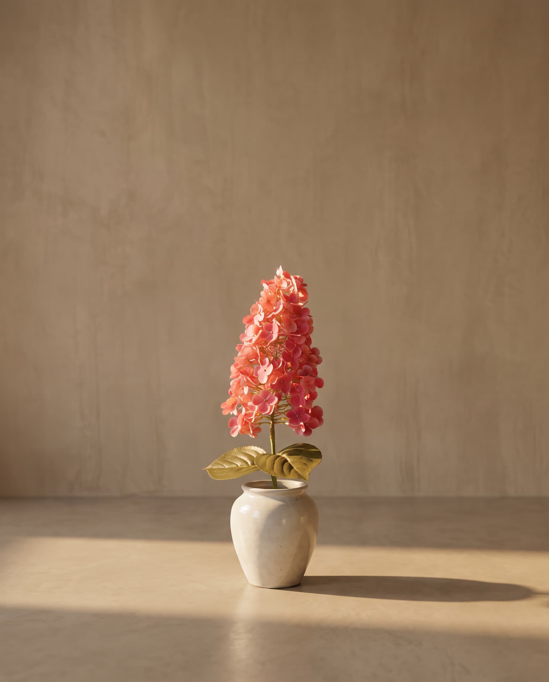 The Hydrangea paniculata on the stem