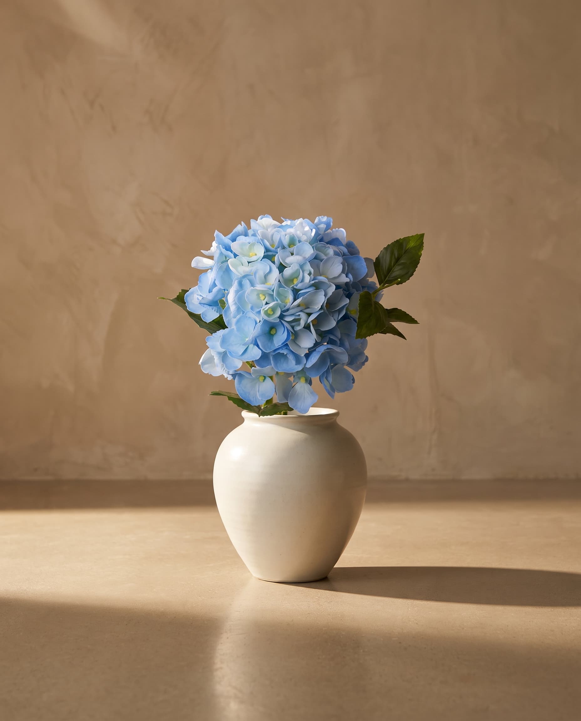 The Hydrangea macrophylla small on the stem