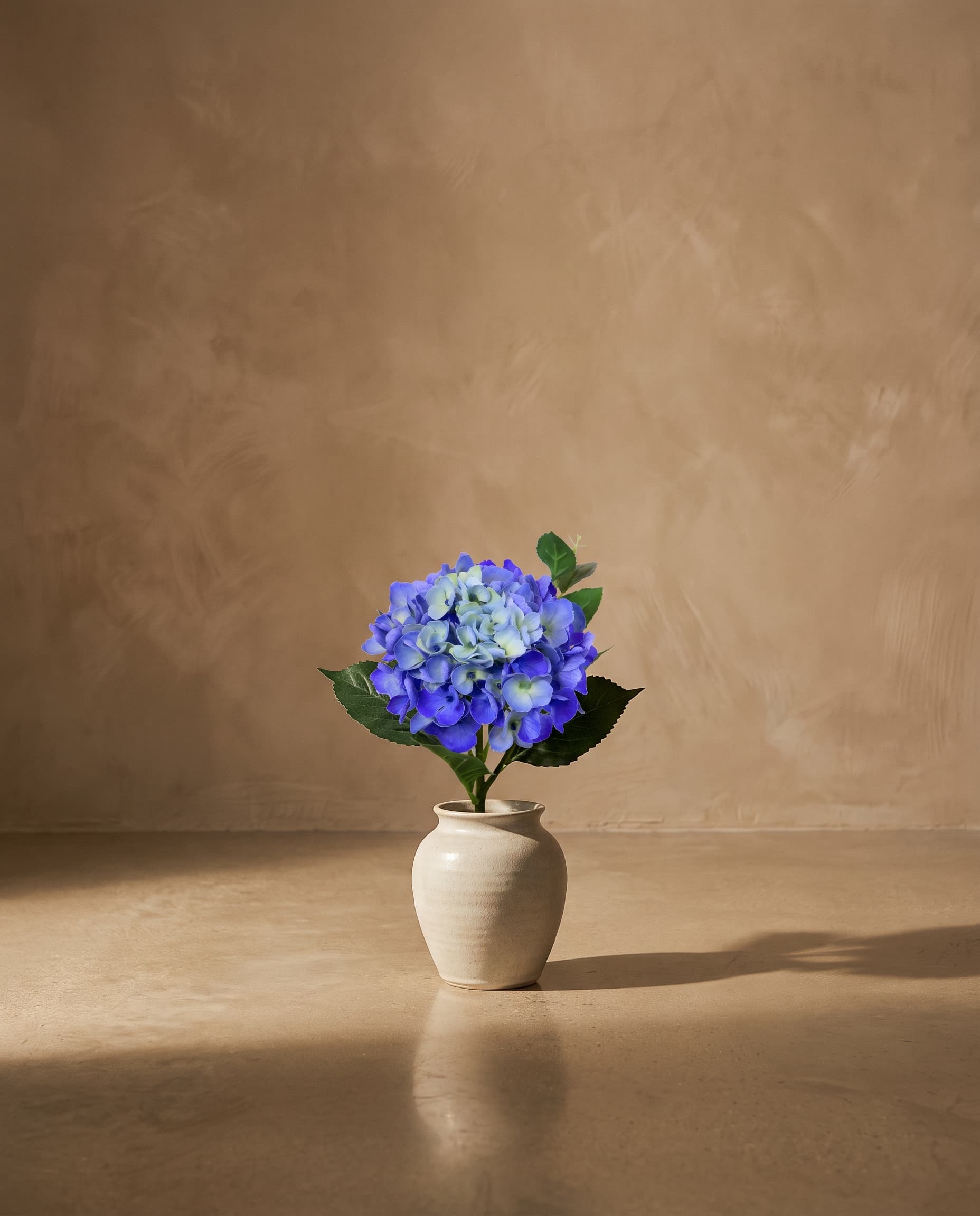 The Hydrangea macrophylla small on the stem