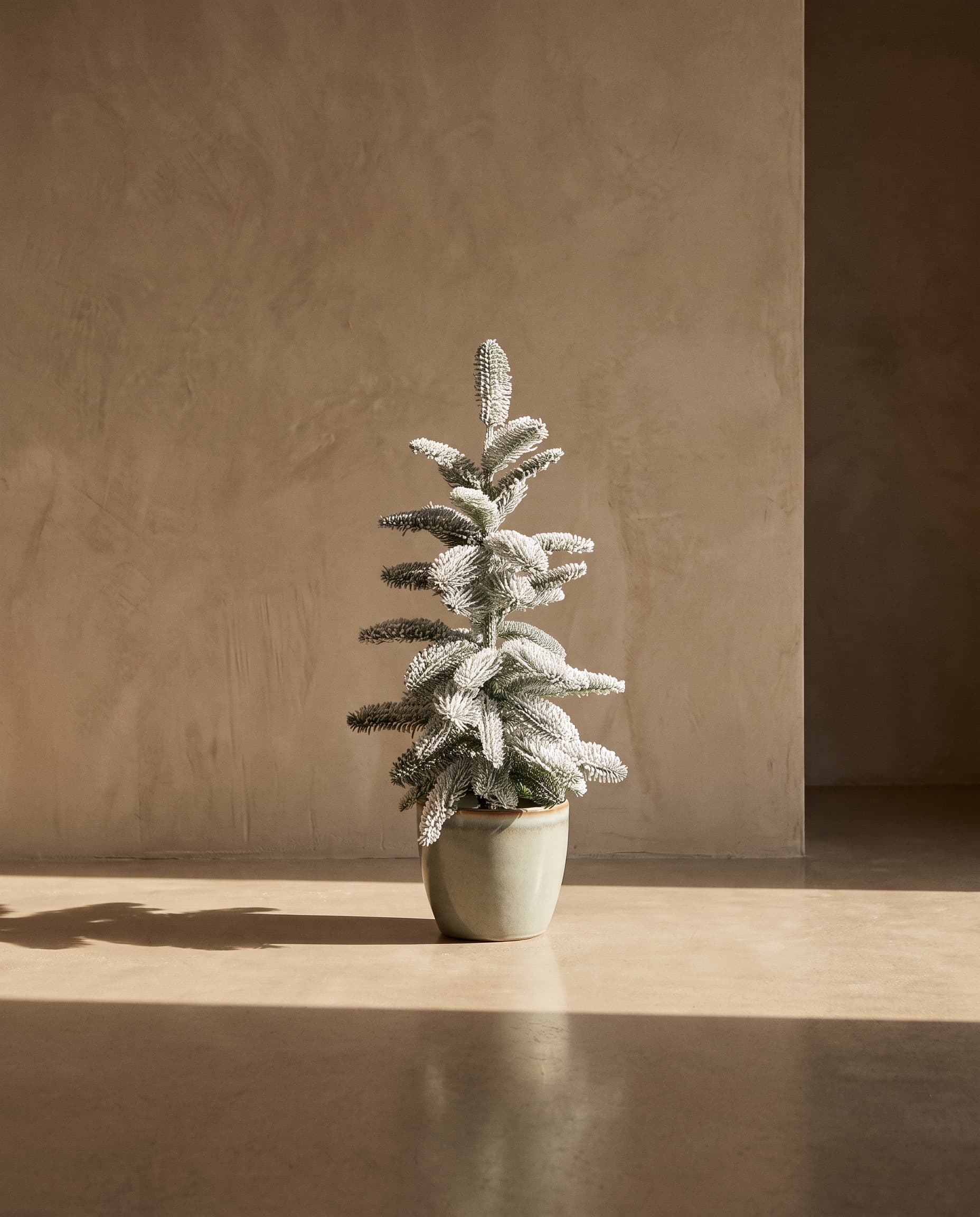 The Frosted Christmas tree (type 1) · 75cm
