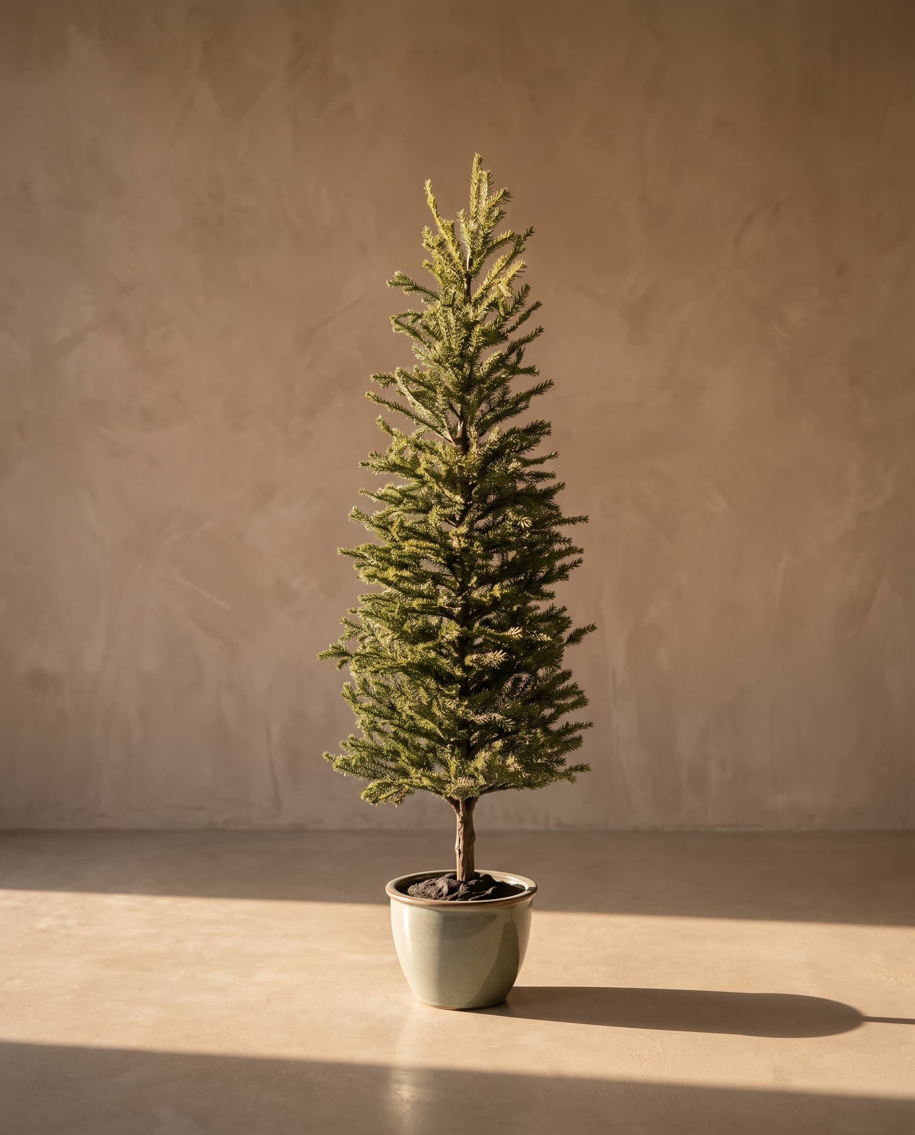 The Christmas Tree YF20PP-27229 38"