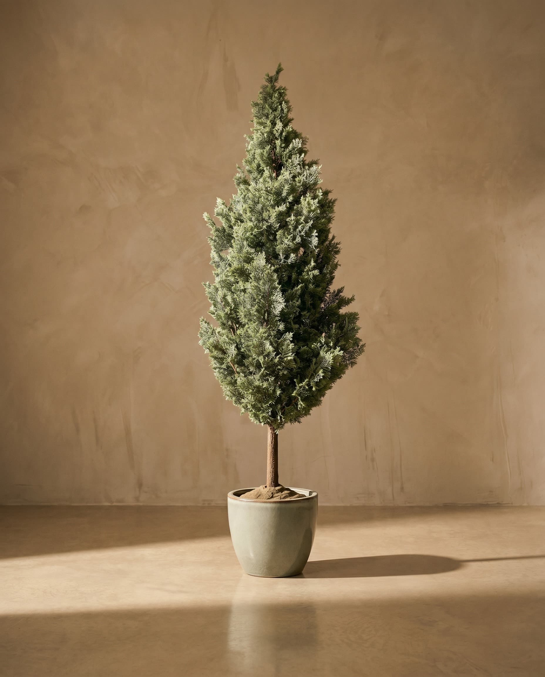 The Juniper · 1.8m · Frosted