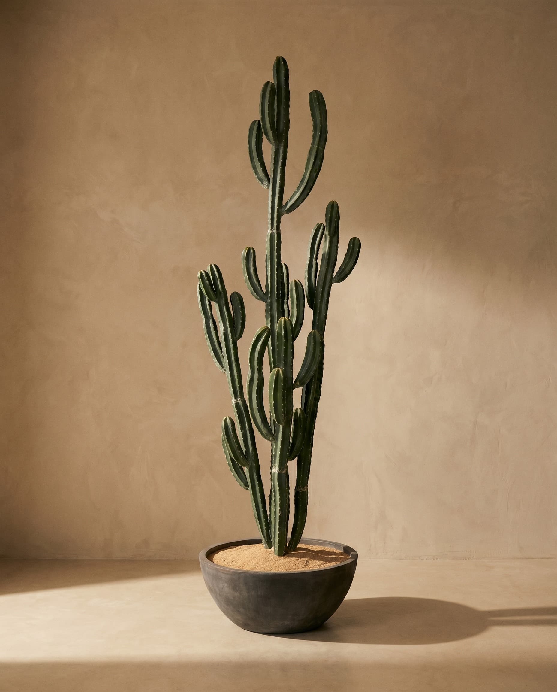 The Desert — featured piece