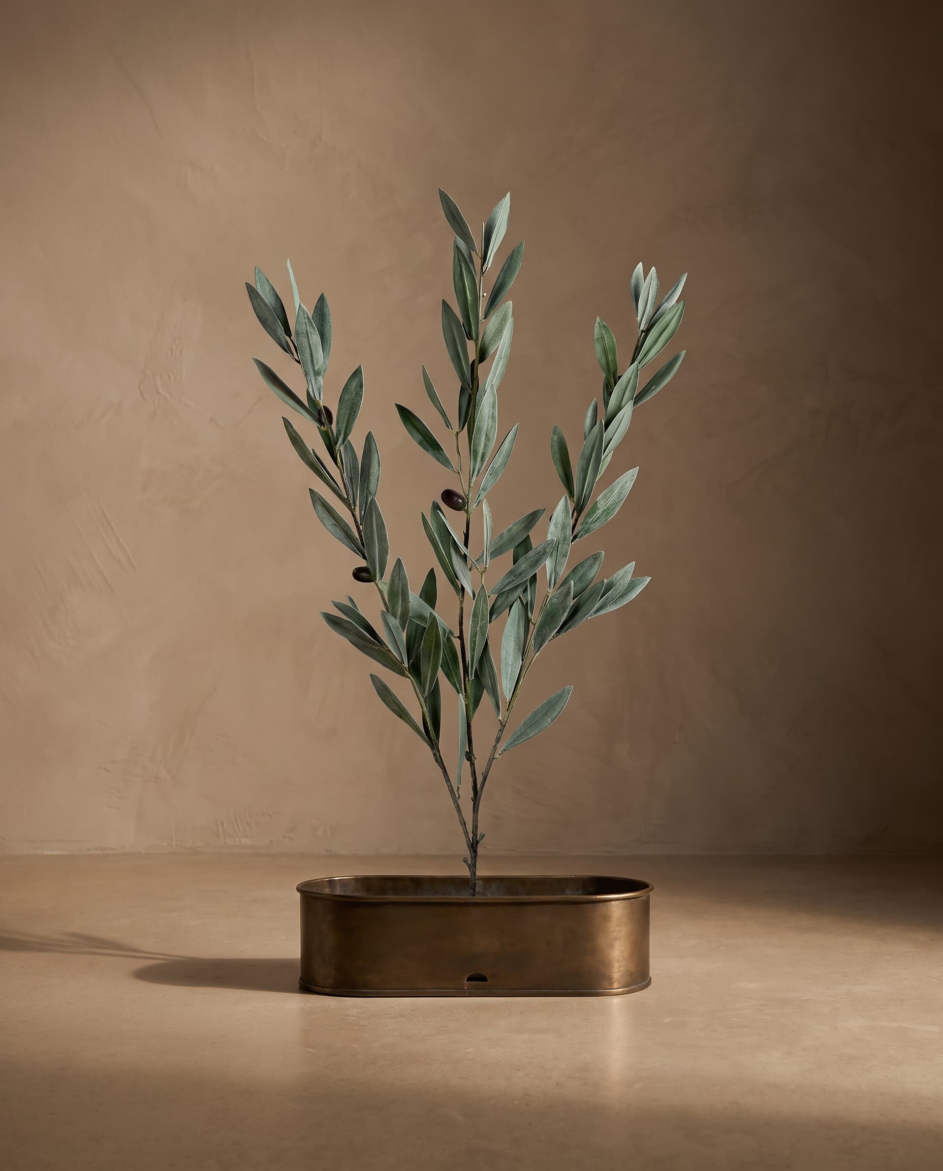 The Olive branch with fruits (medium) · 72cm