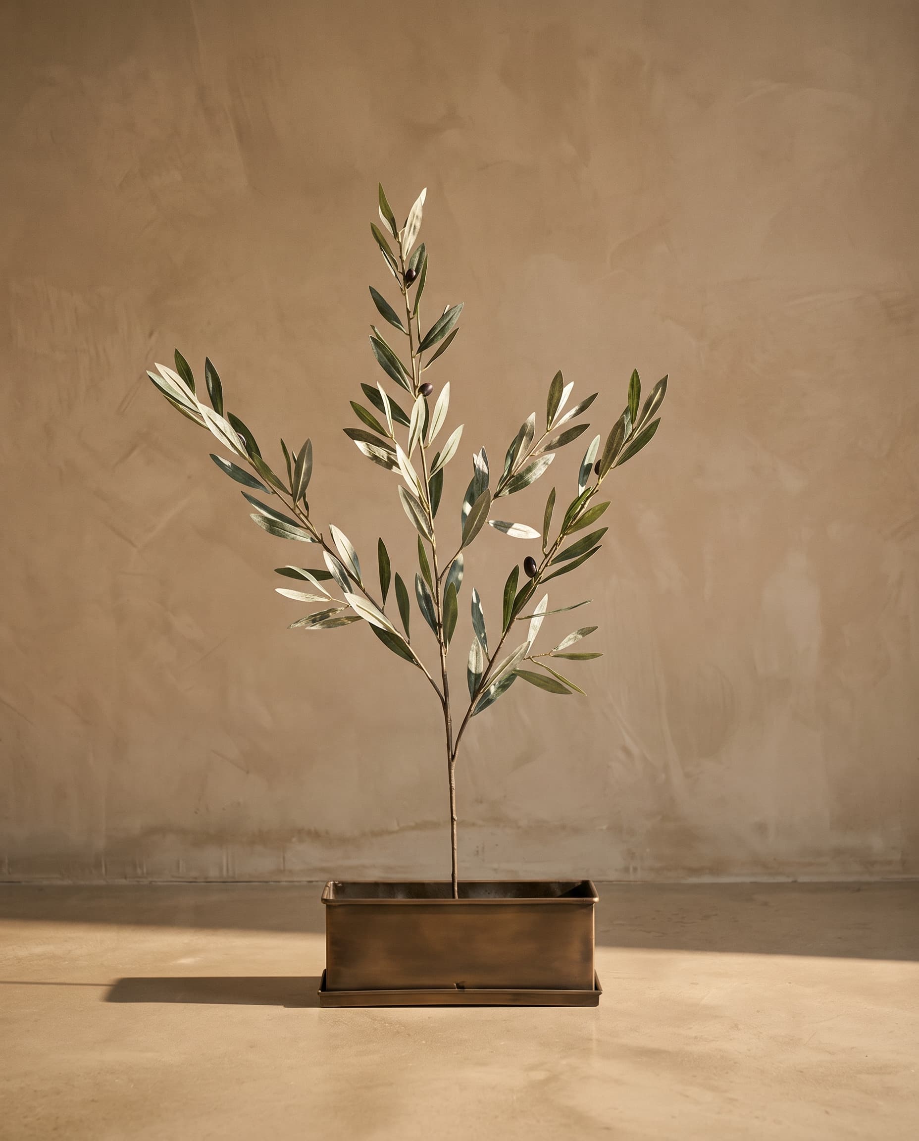 The Olive branch · 1.26m
