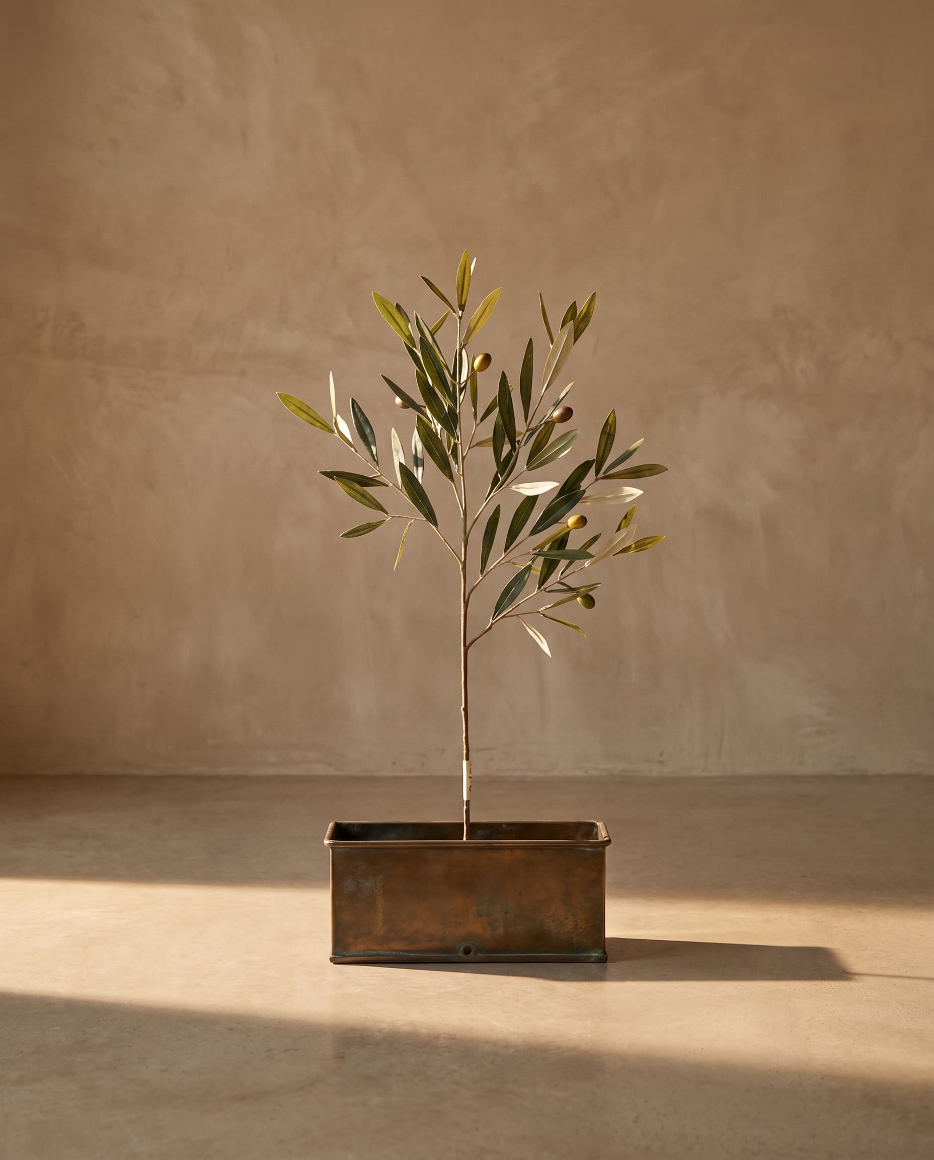 The Olive branch with UV protection · 75cm
