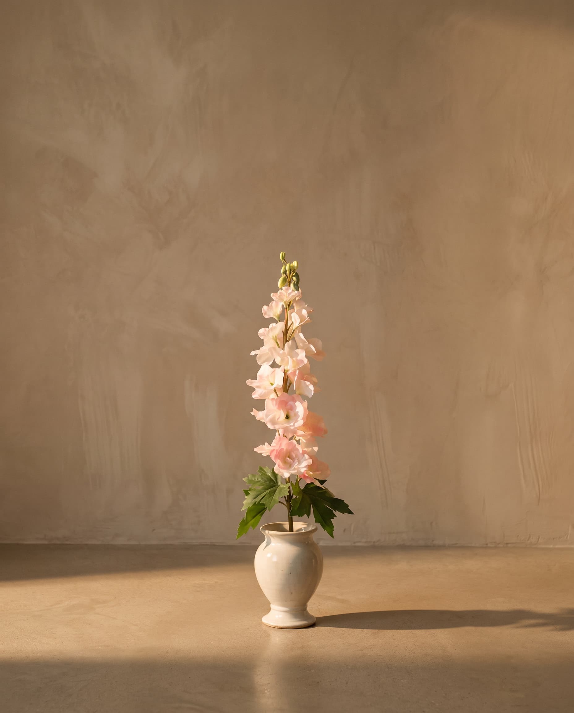 The Delphinium small