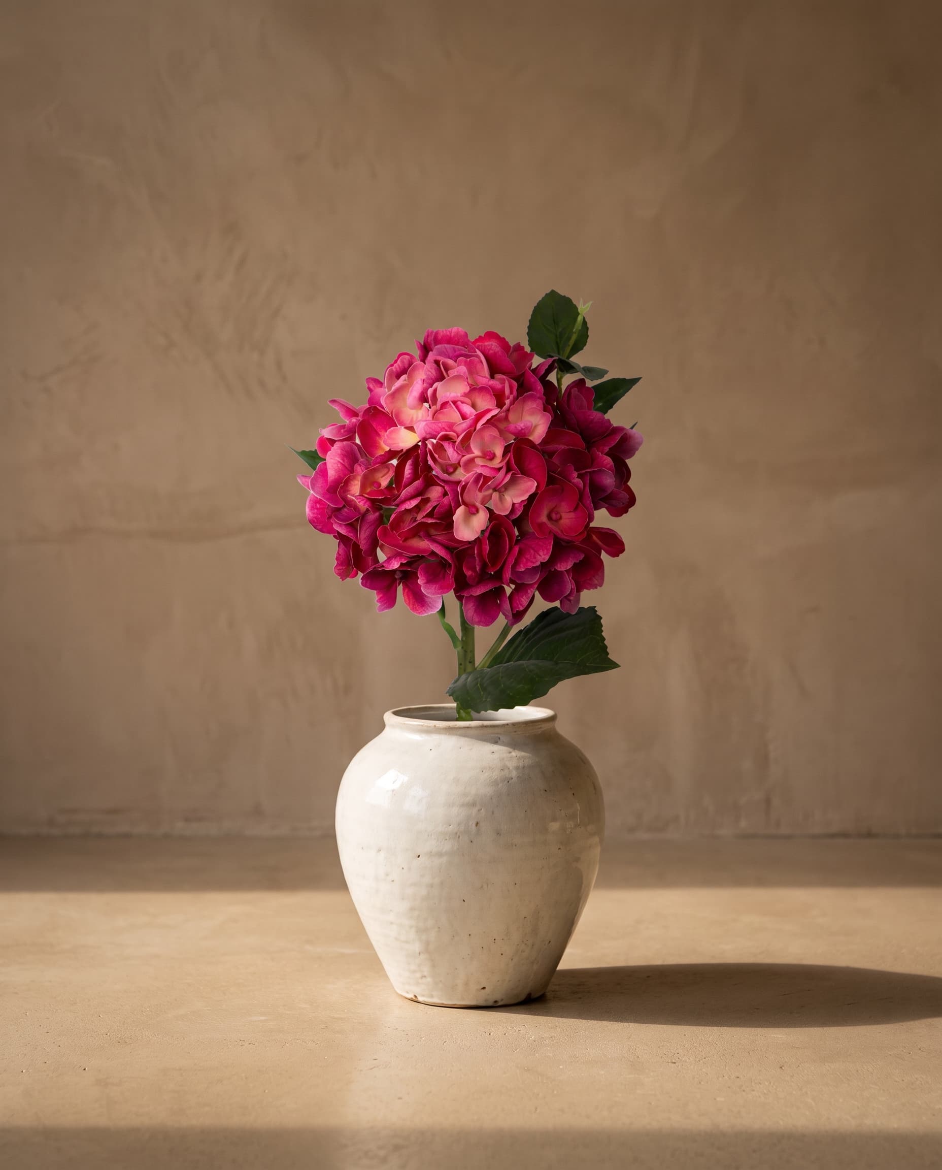 The Hydrangea macrophylla small on the stem