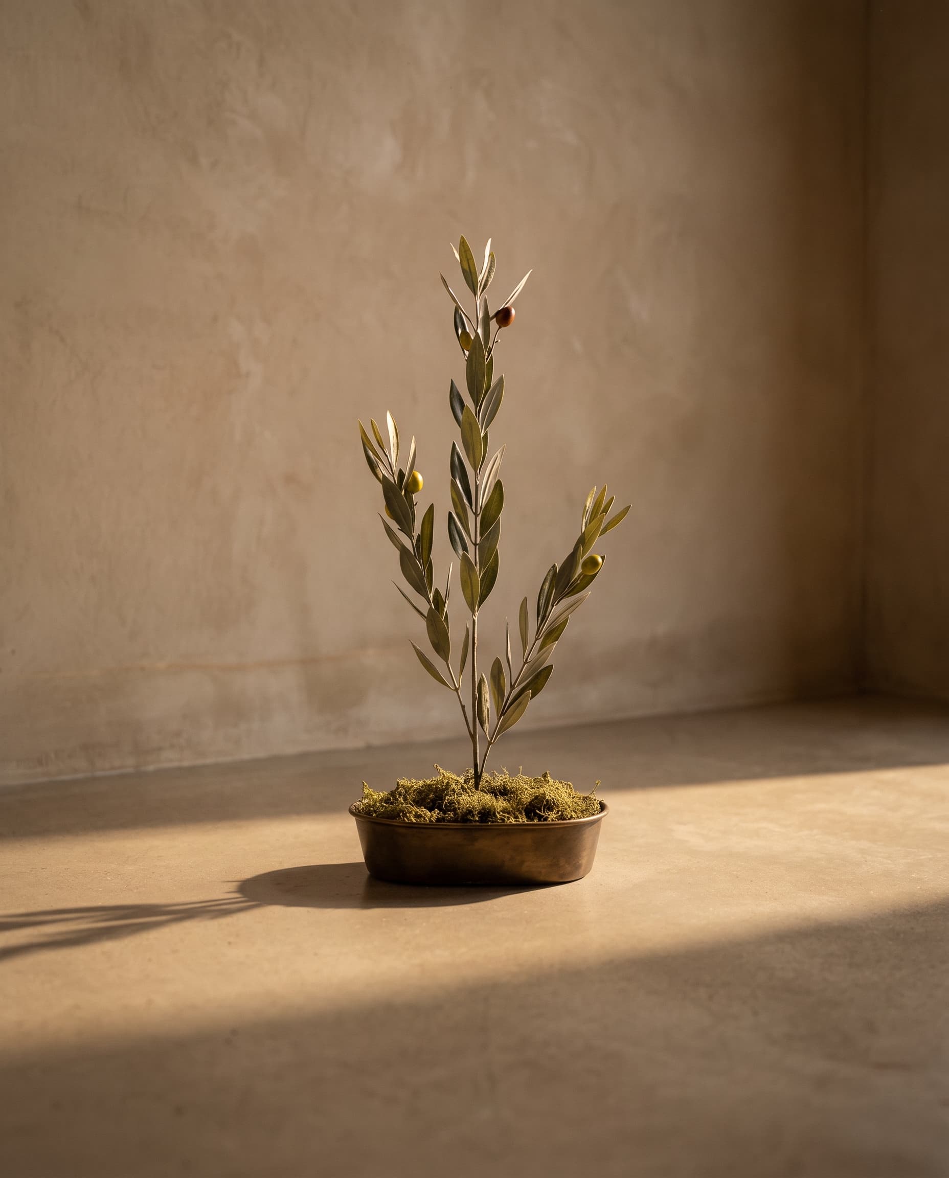 The Olive branch with fruits with UV protection · 87cm