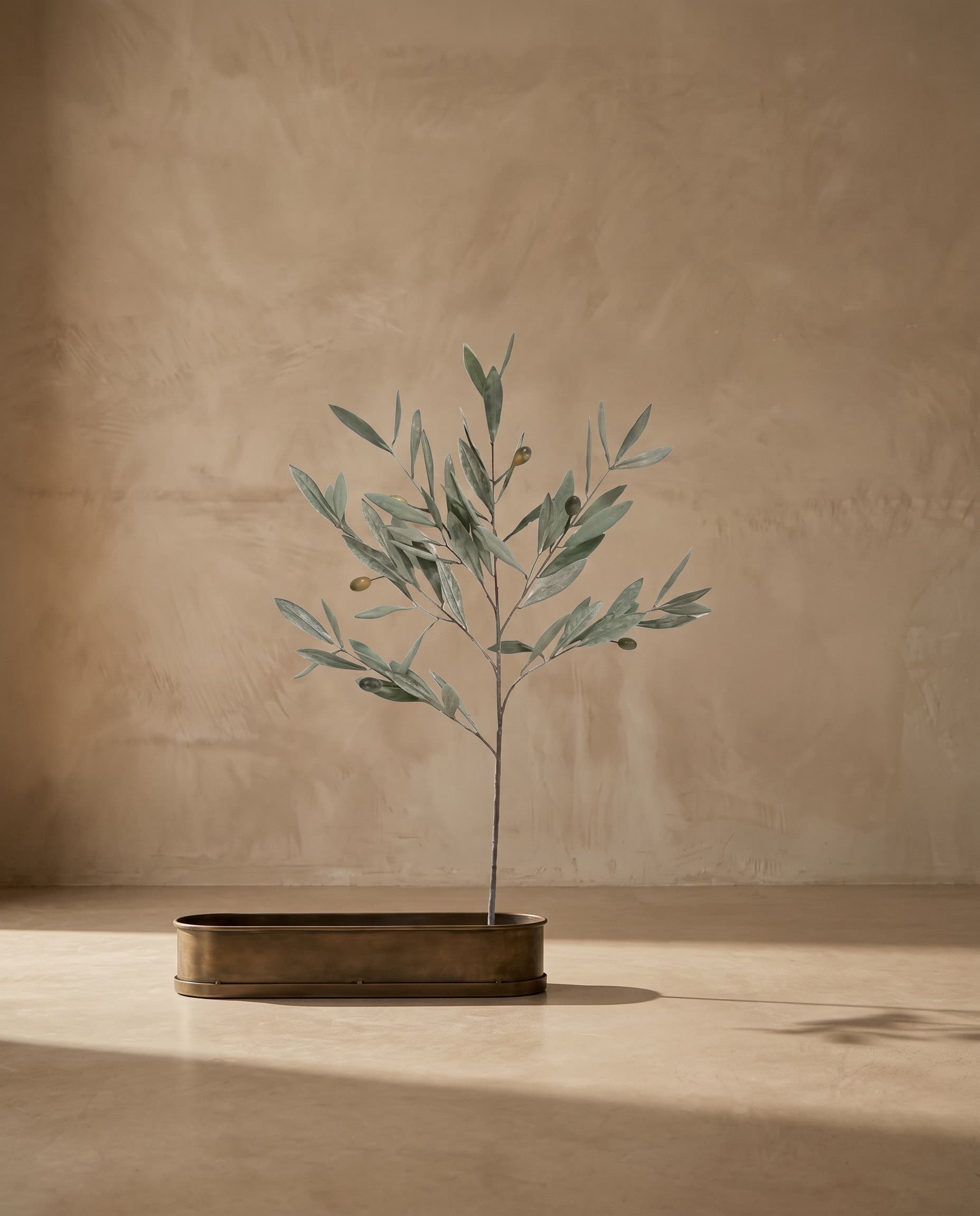 The Olive branch with UV protection · 75cm